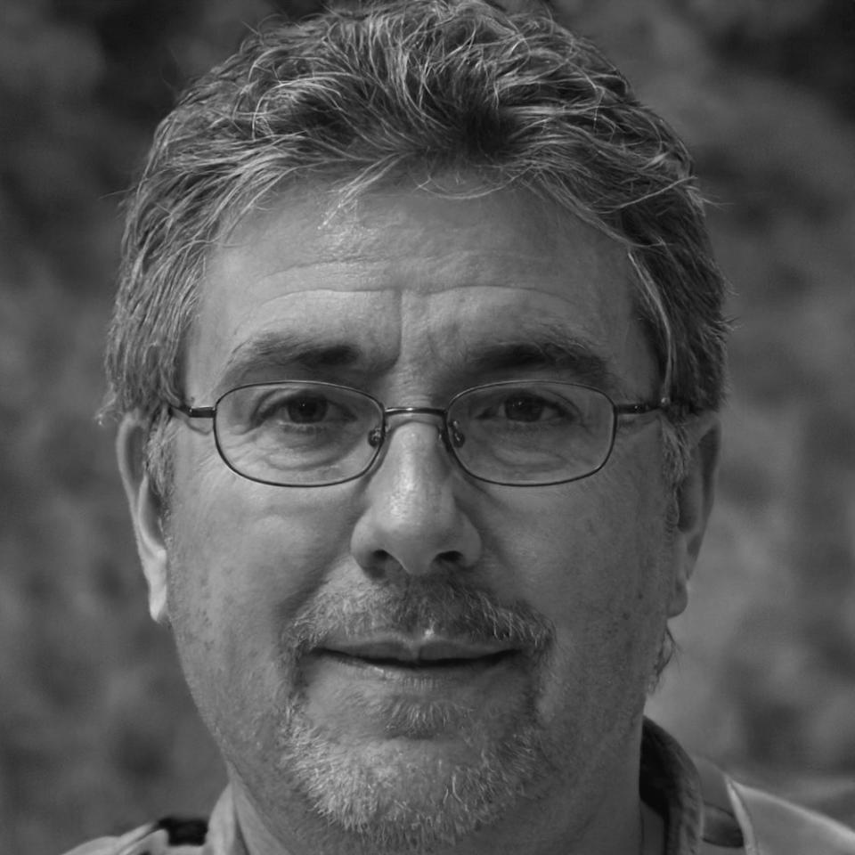 Felix Bergström, Platform Director